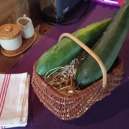 劳斯泰勒度假屋 度假居
