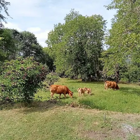劳斯泰勒度假屋 度假居 *