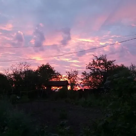 度假居 劳斯泰勒度假屋 *