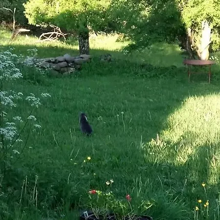 劳斯泰勒度假屋 Taussac