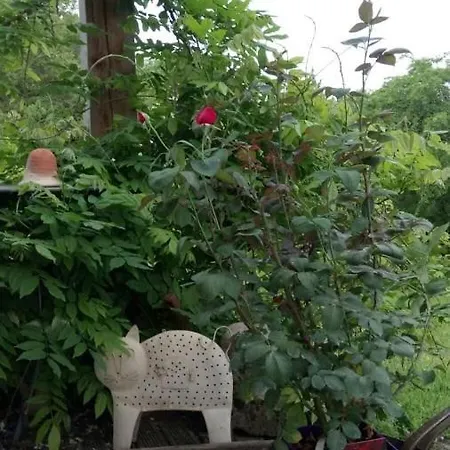 劳斯泰勒度假屋