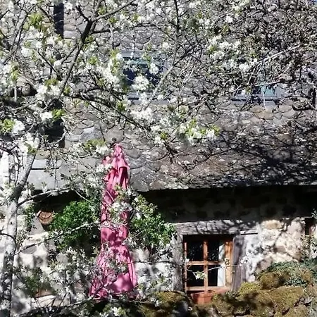 劳斯泰勒度假屋 Taussac