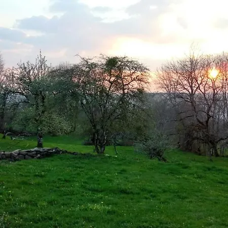 劳斯泰勒度假屋 度假居