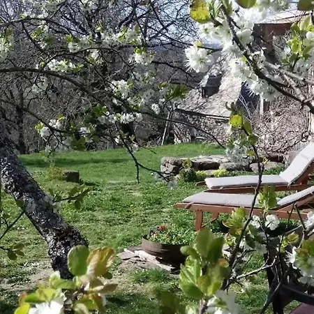 度假居 劳斯泰勒度假屋