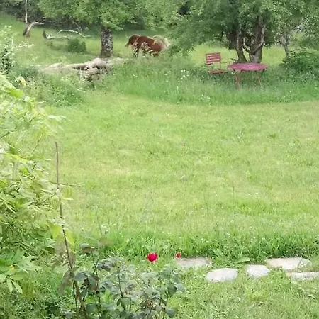 劳斯泰勒度假屋 度假居 *