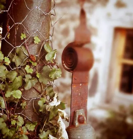 度假居 劳斯泰勒度假屋 Taussac