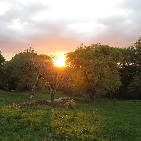 度假居 劳斯泰勒度假屋