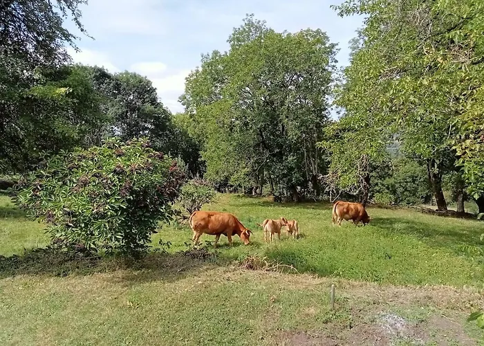 L'oustalou Hébergement de vacances *