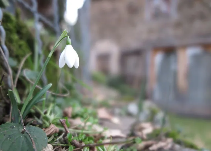 Hébergement de vacances L'oustalou *