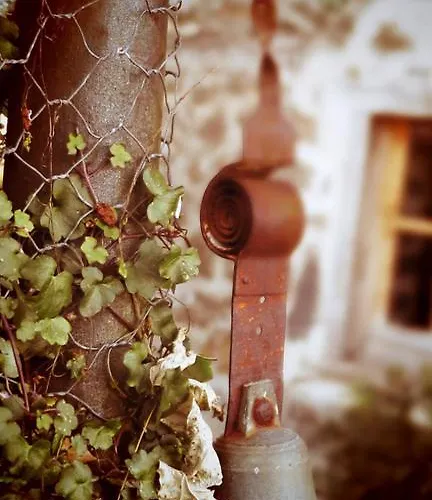 Hébergement de vacances L'oustalou Taussac